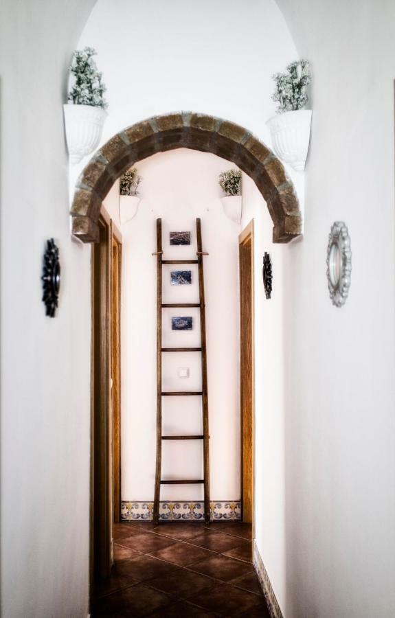 Casa Vitoria Guest House Évora Exteriér fotografie